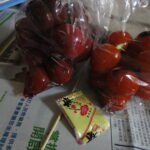 迷ったときこそ別の可能性に触れてみる