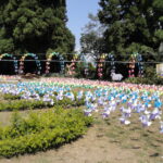 鑑定予約出来ました！